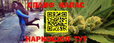 гашик Канаш