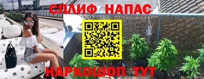 альфа пвп Камышлов