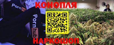 альфа пвп Камышлов