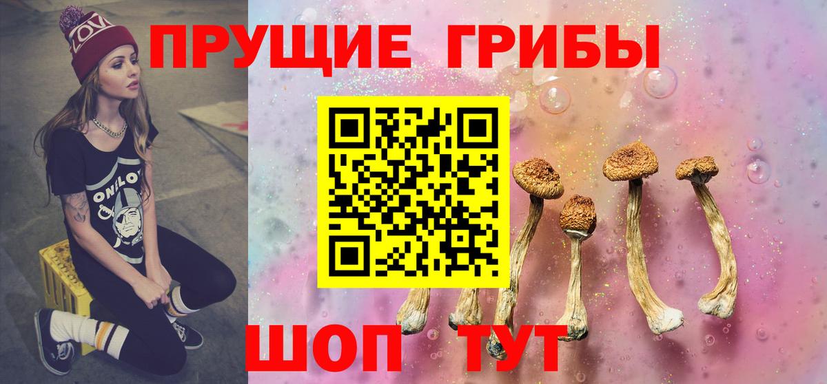 Псилоцибиновые грибы прущие грибы  Вход с VPN  Псилоцибиновые грибы мицелий  Фрязино 